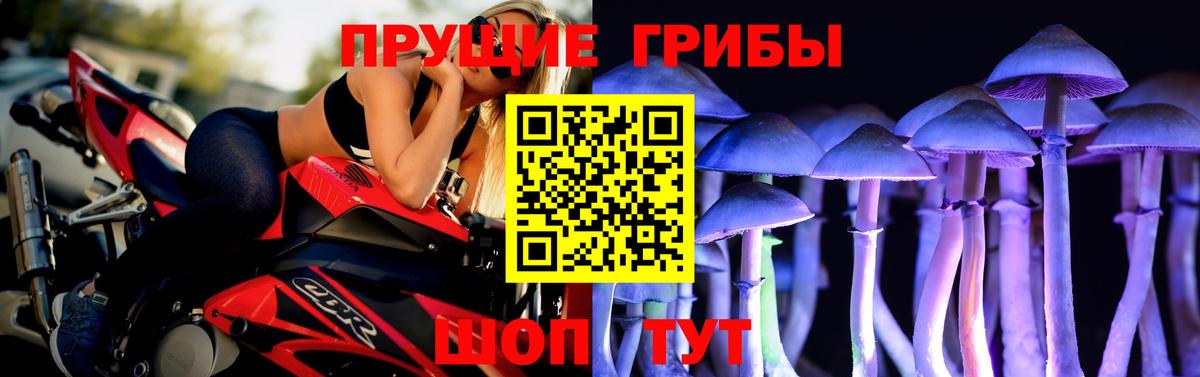 Симферополь  Псилоцибиновые грибы мицелий  Вход с VPN 